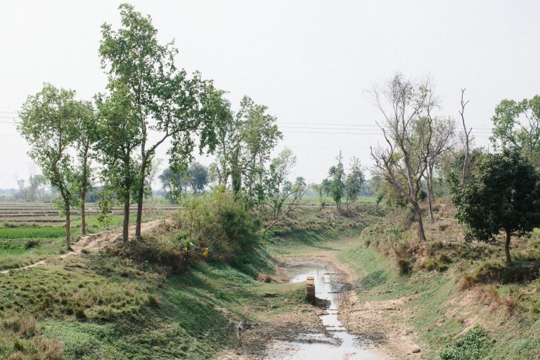 Arifa — Nonapukur, Rajshahi, 2019. Photo: Tom Bradley.