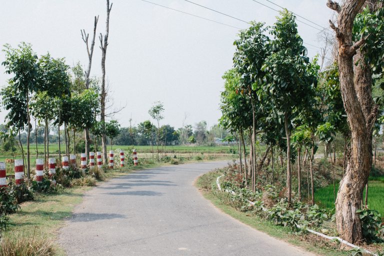 Arifa — Nonapukur, Rajshahi, 2019. Photo: Tom Bradley.