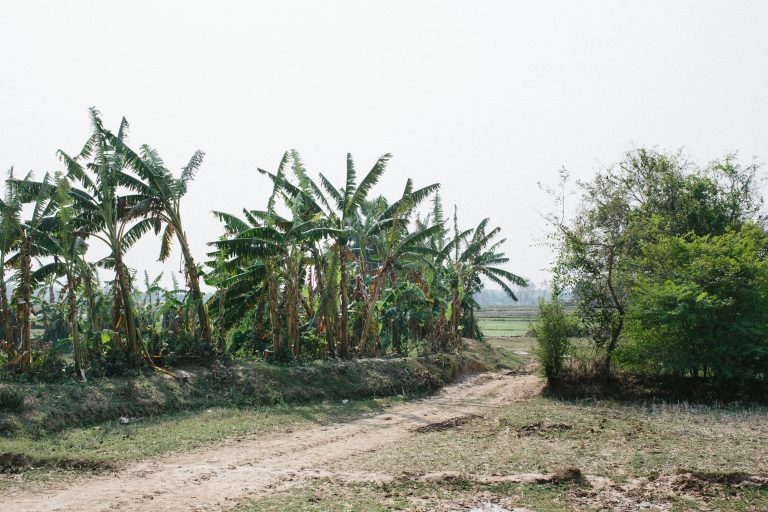 Arifa — Nonapukur, Rajshahi, 2019. Photo: Tom Bradley.