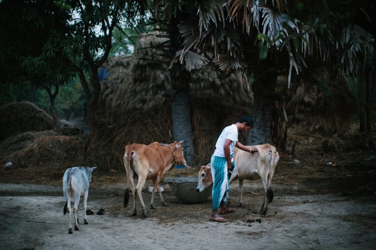 Moslem — Galla, Rajshahi, 2019. Photo: Tom Bradley.
