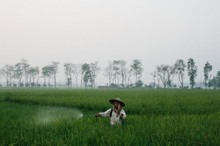 Moslem — Galla, Rajshahi, 2019. Photo: Tom Bradley.