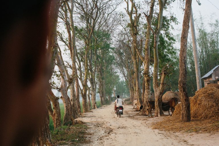 Moslem — Galla, Rajshahi, 2019. Photo: Tom Bradley.