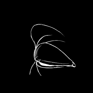 Frame 4 of 23