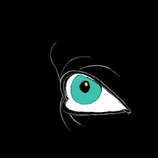 Frame 6 of 23