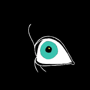 Frame 8 of 23
