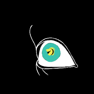 Frame 11 of 23