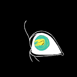 Frame 12 of 23