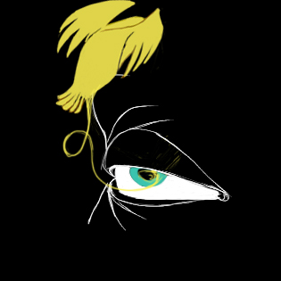 Frame 17 of 23